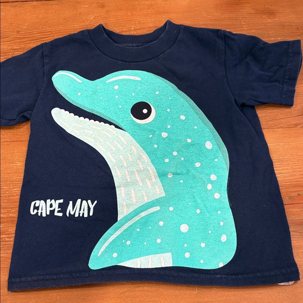 Navy Blue Dolphin Graphic T-Shirt 2T